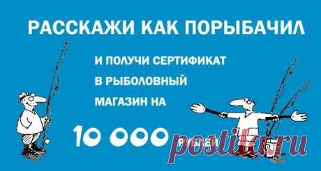 Осталось 7 дней! Успей принять участие. / Богатая добыча