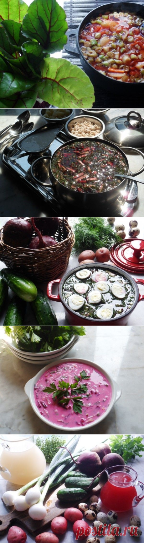 7 уникальных старинных рецептов свекольников — Вкусные рецепты