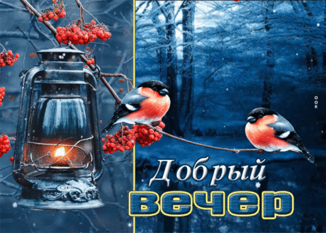 Энергичная и тёплая зимняя открытка Добрый вечер