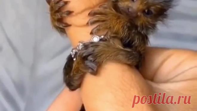 VID_20230418_213141_655.mp4