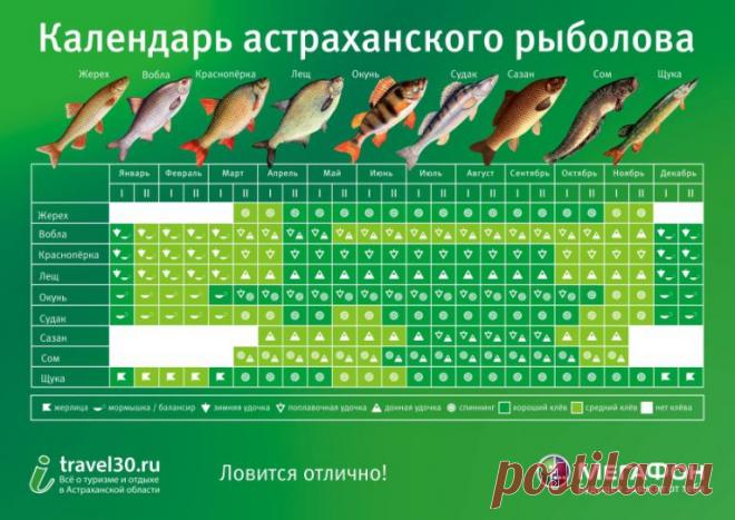 Календарь астраханского рыболова - Астраханский центр туристической информации