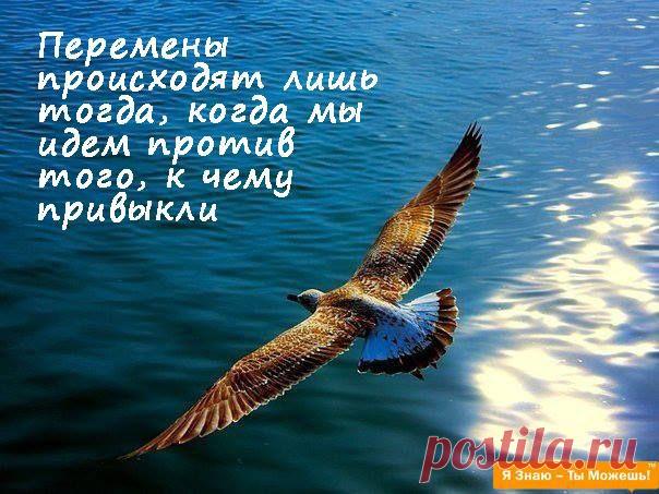 Классные фото | 2 фотографии