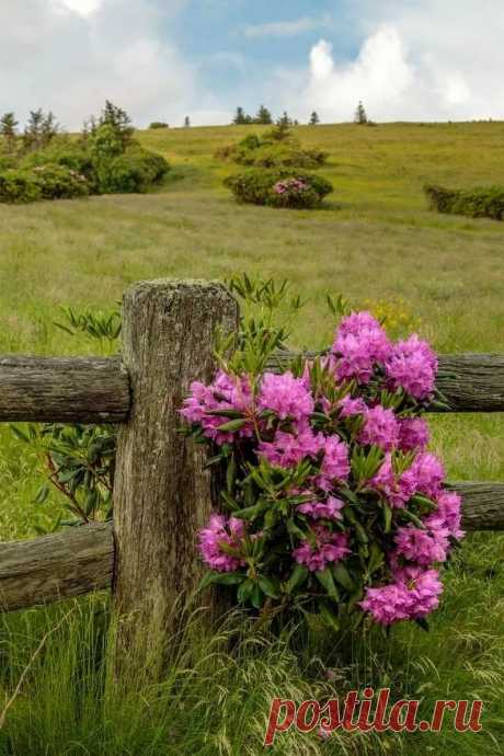 Aslam Saif - Google+