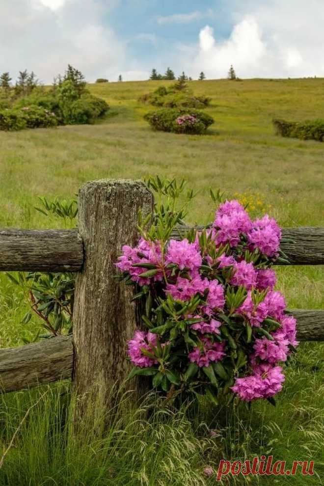 Aslam Saif - Google+