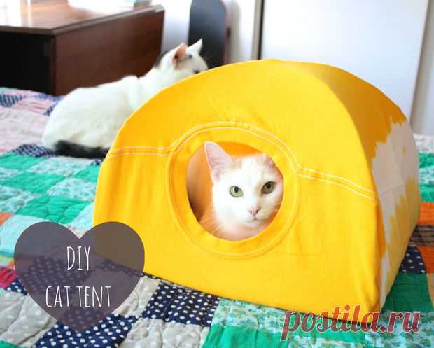 DIY Carpa del gato: 9 pasos (con fotos)