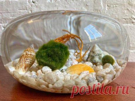 Миниатюрный аквариум как элемент декора ~ Planetalsad