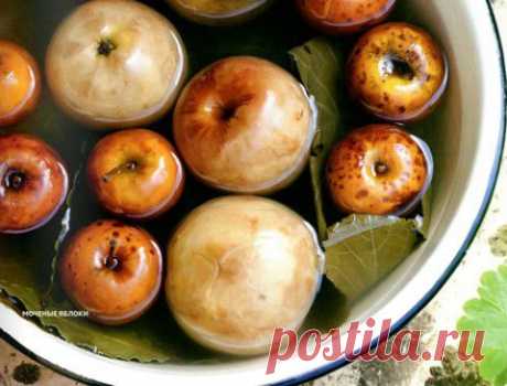 Рецепты заготовок. Моченые яблоки в банках | Домашняя кулинария