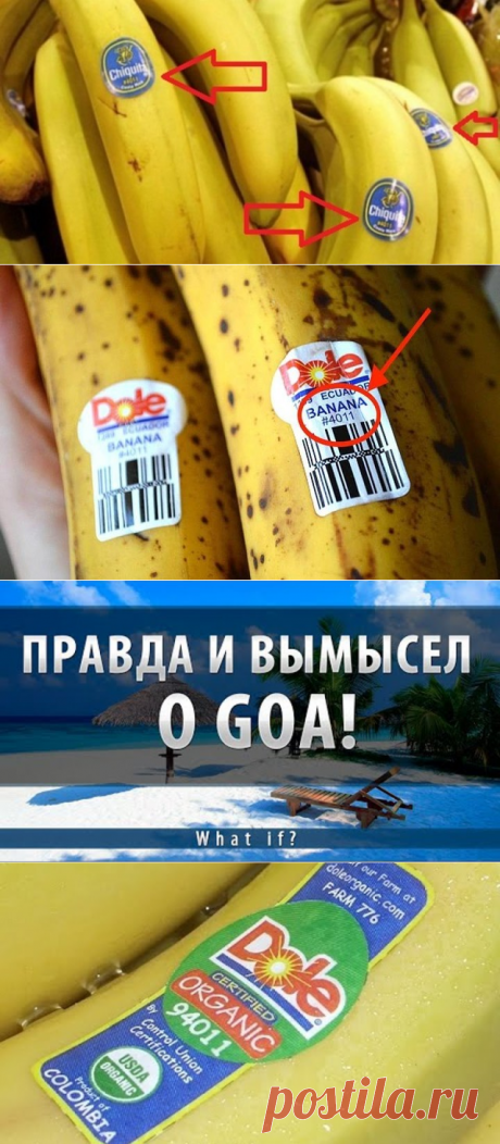 ( НАС ТРАВЯТ БАНАНАМИ! Одноклассники