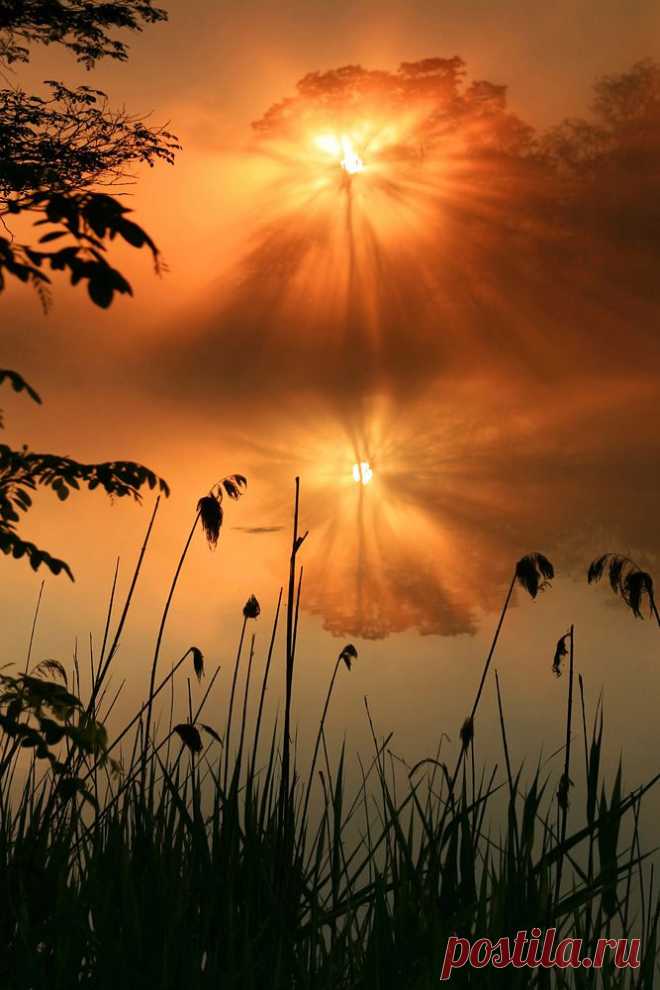 Delicacy, and even of Fragility