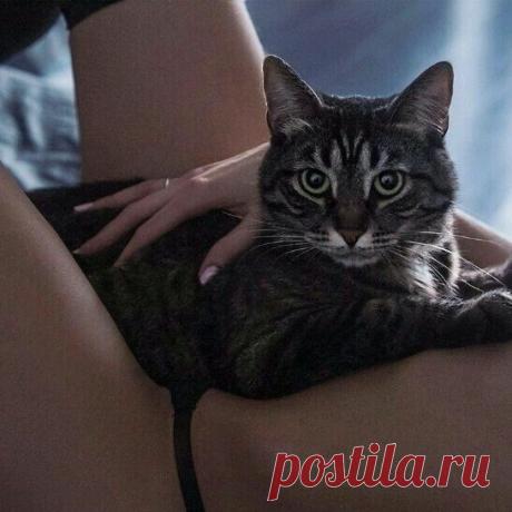 Андрей Быстров