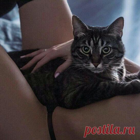 Андрей Быстров