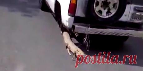 Смекалка как в России | АВТОМОБИЛИСТЫ