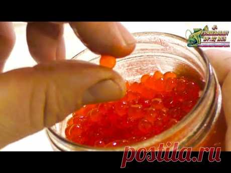 Красная икра, как не купить подделку. Как выбрать качественную икру на  праздничный стол