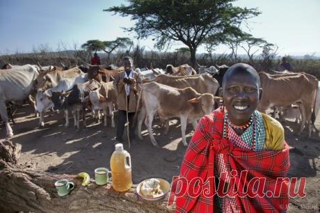 Дневной рацион жителей разных стран мира