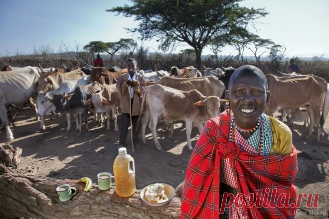 Дневной рацион жителей разных стран мира