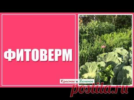 Фитоверм. Что нужно знать садоводу.