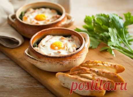 Яйца: 10 простых рецептов на Supersadovnik.ru