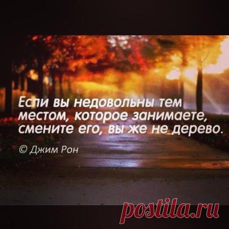 ПРИВЕТСТВУЮ ВАС, ДРУЗЬЯ! У ВАС ЕСТЬ ИНТЕРНЕТ,БАЗОВЫЕ ЗНАНИЯ КОМПЬЮТЕРА И ВАМ НУЖЕН ХОРОШИЙ ДОХОД!? Вы в декретном отпуске?Вы на пенсии, или напротив только окончили ВУЗ? ТОГДА У МЕНЯ ЕСТЬ, ЧТО ВАМ ПРЕДЛОЖИТЬ. Пишите в 📱Whatsapp +7 (965) 180-06-79вышлю вам подробную информацию. #работа #работанадому #заработок #быстрыйзаработок #хорошийзаработок #бизнес #бизнеснадому #бизнесдома #продажи #грозный #чечня #дагестан #москва #мск #питер #казань #воронеж #ленинград #ингушетия #...