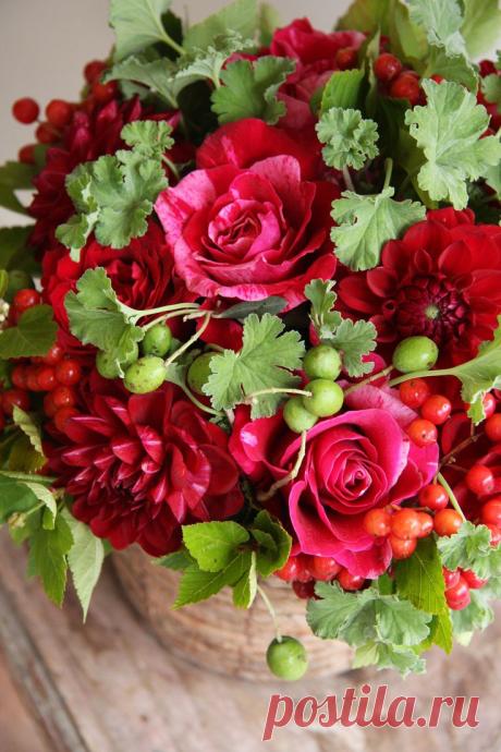 Найдено на сайте fleurs-tremolo.com.