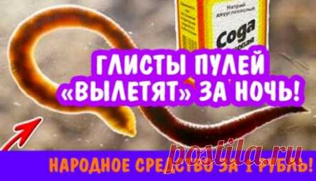 Глисты пулей «вылетят» за ночь! Народное средство за 1 рубль!