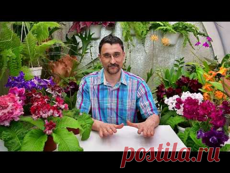 Ответы на вопросы о поливе растений.  Часть 1