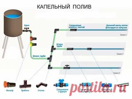 Как сделать простейший капельный полив из бочки? 
 
Не переживайте, ведрами черпать воду из бочки и носить ее на огород не придется. Есть более рациональные способы организации полива. 
Например, капельный полив. Изобретен этот способ был в Древнем Египте, где, как известно, проблема ирригации стоит очень остро. Однако, несмотря на почтенный возраст, данная технология не утратила актуальности и по сей день. Суть капельного полива в том, что вода подается к растениям не периодически и большими об