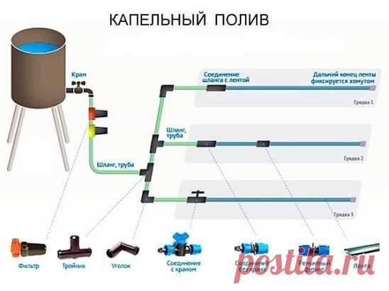 Как сделать простейший капельный полив из бочки? 
 
Не переживайте, ведрами черпать воду из бочки и носить ее на огород не придется. Есть более рациональные способы организации полива. 
Например, капельный полив. Изобретен этот способ был в Древнем Египте, где, как известно, проблема ирригации стоит очень остро. Однако, несмотря на почтенный возраст, данная технология не утратила актуальности и по сей день. Суть капельного полива в том, что вода подается к растениям не периодически и большими об