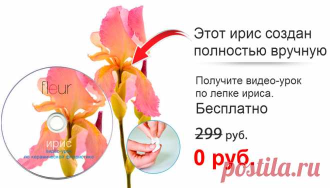 Видео-Урок Ирис В Подарок!