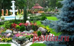 Аллелопатия — совместимость растений - Чудесная дача