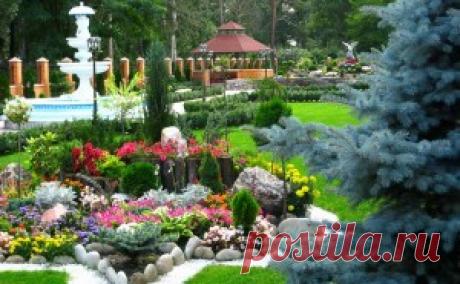 Аллелопатия — совместимость растений - Чудесная дача