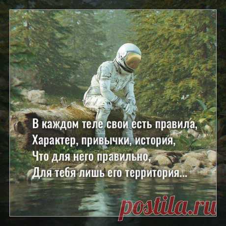 В каждом теле свои есть правила, характер, привычки, история…
Фото с просторов интернета Фото с просторов интернета В каждом теле свои есть правила, Характер, привычки, история, Что для него правильно, Для тебя лишь его территория. Полюби его искренне, полно, Без любви трудно выжить здесь будет, Принимай целиком, безусловно, В тебе лучшее тело пробудит. Подружись с ним, не нужно бояться, Да, бывает, что не по […]
Читай пост далее на сайте. Жми ⏫ссылку выше