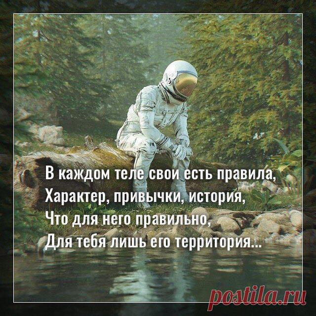 В каждом теле свои есть правила, характер, привычки, история…
Фото с просторов интернета Фото с просторов интернета В каждом теле свои есть правила, Характер, привычки, история, Что для него правильно, Для тебя лишь его территория. Полюби его искренне, полно, Без любви трудно выжить здесь будет, Принимай целиком, безусловно, В тебе лучшее тело пробудит. Подружись с ним, не нужно бояться, Да, бывает, что не по […]
Читай пост далее на сайте. Жми ⏫ссылку выше