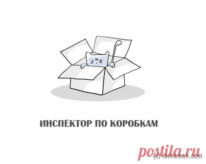 17 очень важных профессий каждого настоящего кота. В картинках | Краше Всех