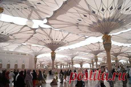 (72) Одноклассники