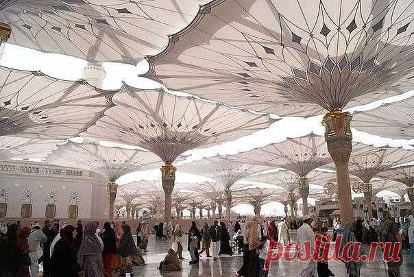 (72) Одноклассники