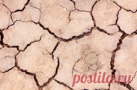 «Маскировка». Такырная круглоголовка на берегу озера Баскунчак, Богдинско-Баскунчакский заповедник. Автор фото – Станислав Шинкаренко, участник фотоконкурса «Дикая природа России 2017» ➡ bit.ly/DPR2017