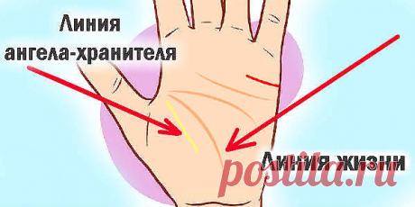 Загадочная линия на руке. Линию Ангела-Хранителя имеет ограниченнное количество людей. Что это означает? | Лисичка | Яндекс Дзен