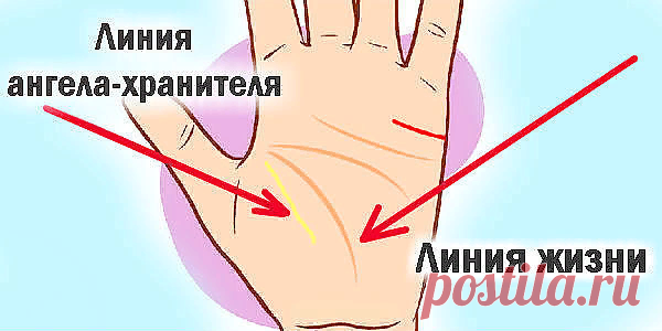 Загадочная линия на руке. Линию Ангела-Хранителя имеет ограниченнное количество людей. Что это означает? | Лисичка | Яндекс Дзен