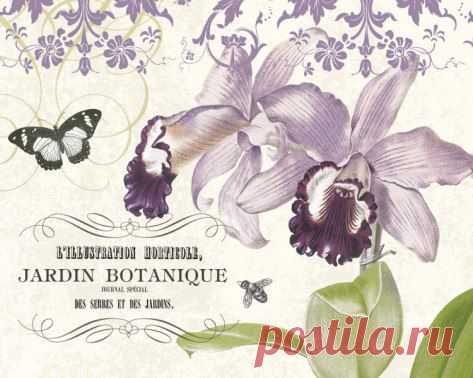 Елена Балакина