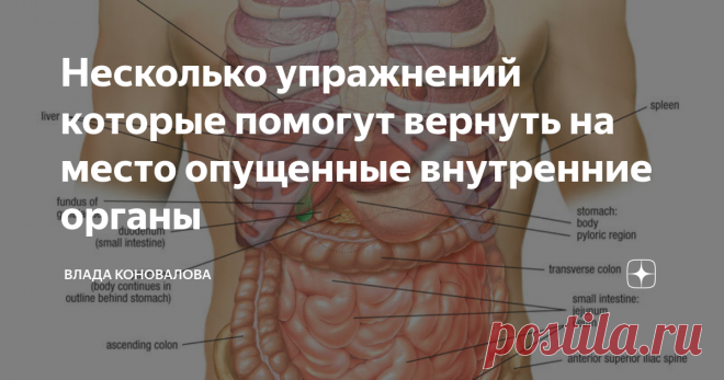 Несколько упражнений которые помогут вернуть на место опущенные внутренние органы Опущение внутренних органов в преобладающем большинстве наблюдается у женщин. Это и понятно, ведь среди основных причин этой патологии выделяют чрезмерную худобу, отказ от еды или слишком малое потребление пищи на диетах и голодовках, трудные или частые роды. Опущение органов может случиться, как следствие серьезной травмы. Так что мужчины, хоть и менее, но также этому подвержены.
Методика