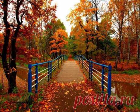 Мой Мир@Mail.Ru