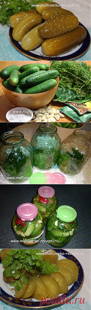 Рецепт огурцов с горчицей на зиму |