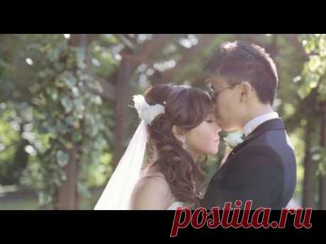 Wedding Teaser - YouTube
