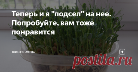 Теперь и я "подсел" на нее. Попробуйте, вам тоже понравится Статья автора «Волшебная еда» в Дзене ✍: Если бы мне, еще 2 месяца назад сказали, что я буду выращивать дома, на подоконнике микрозелень, я бы засмеялся.