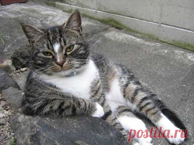 Хорошо сидим:)