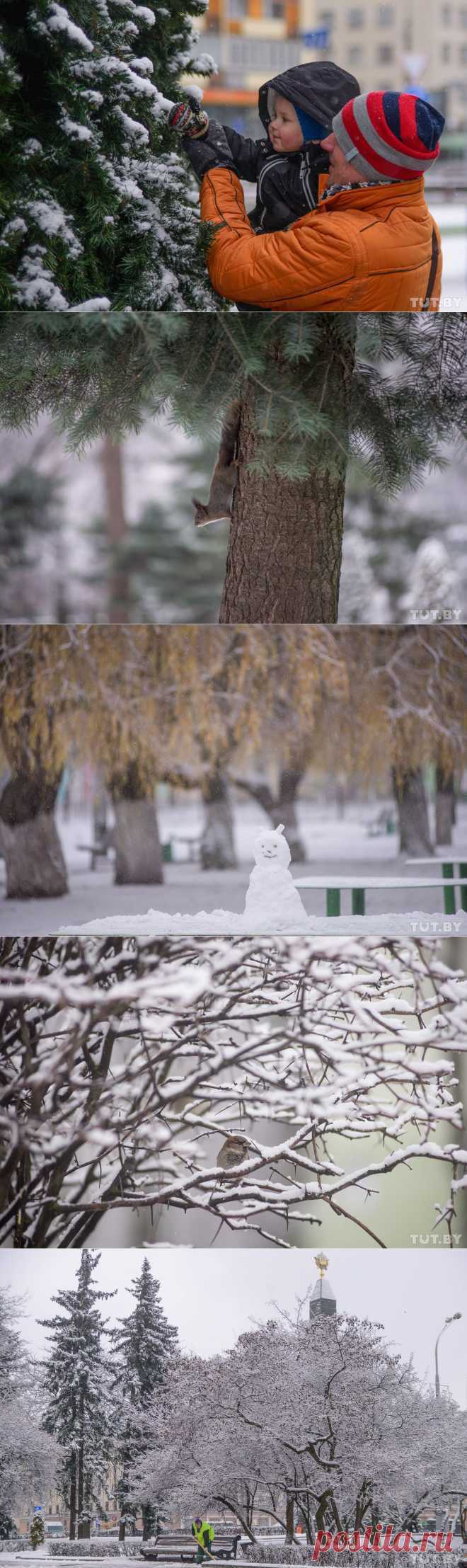 Предзимнее вдохновение: снежный подарок для фотографов, детей и зверей