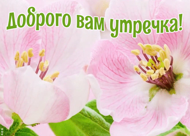 Милая открытка с добрым утром девушке