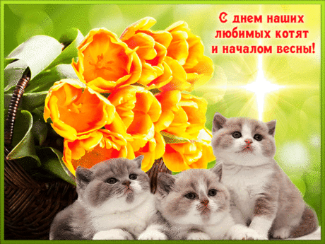 С днем наших любимых котят и началом весны!