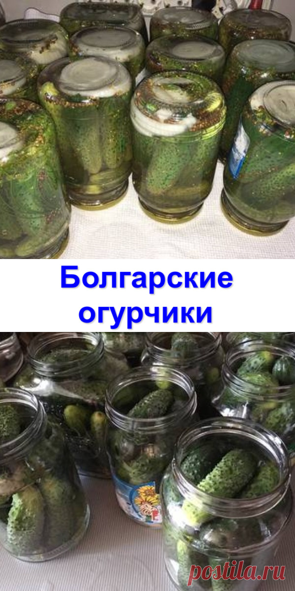 «Болгарские» огурчики