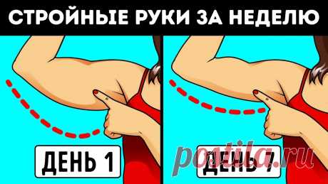 Мечтая о стройной фигуре, все девушки так или иначе концентрируются на своих проблемных зонах. Помимо типичных ребер и талии, руки (бицепсы и трицепсы)